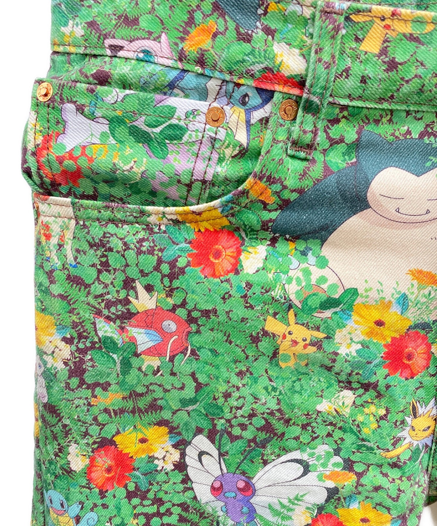 Levi的X Pokemon 551Z真实的直式口袋妖怪花园,Pokémon25周年