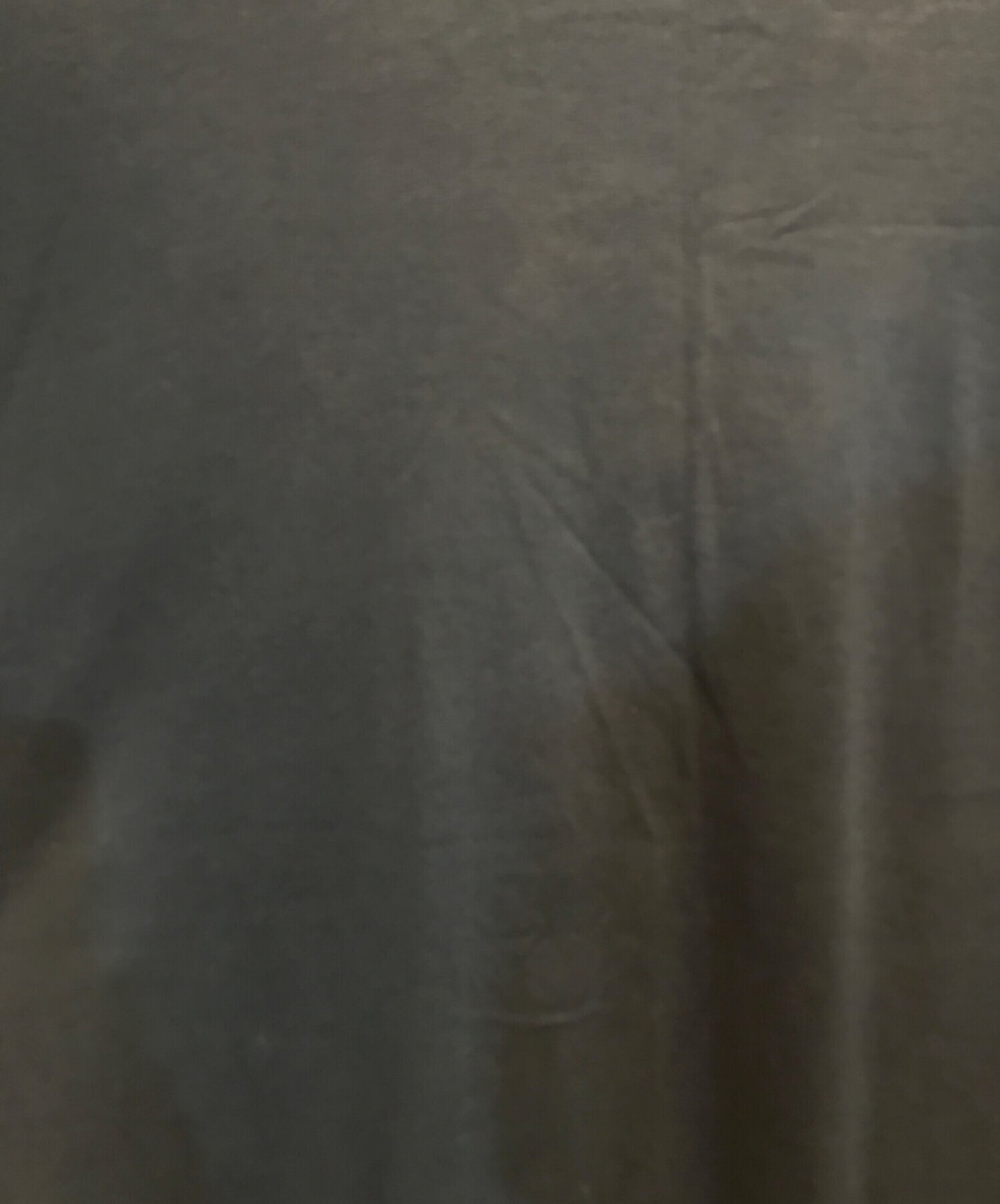 RAF SIMONS 03SS ใช้การตัดเสื้อยืด "เด็กใหม่"