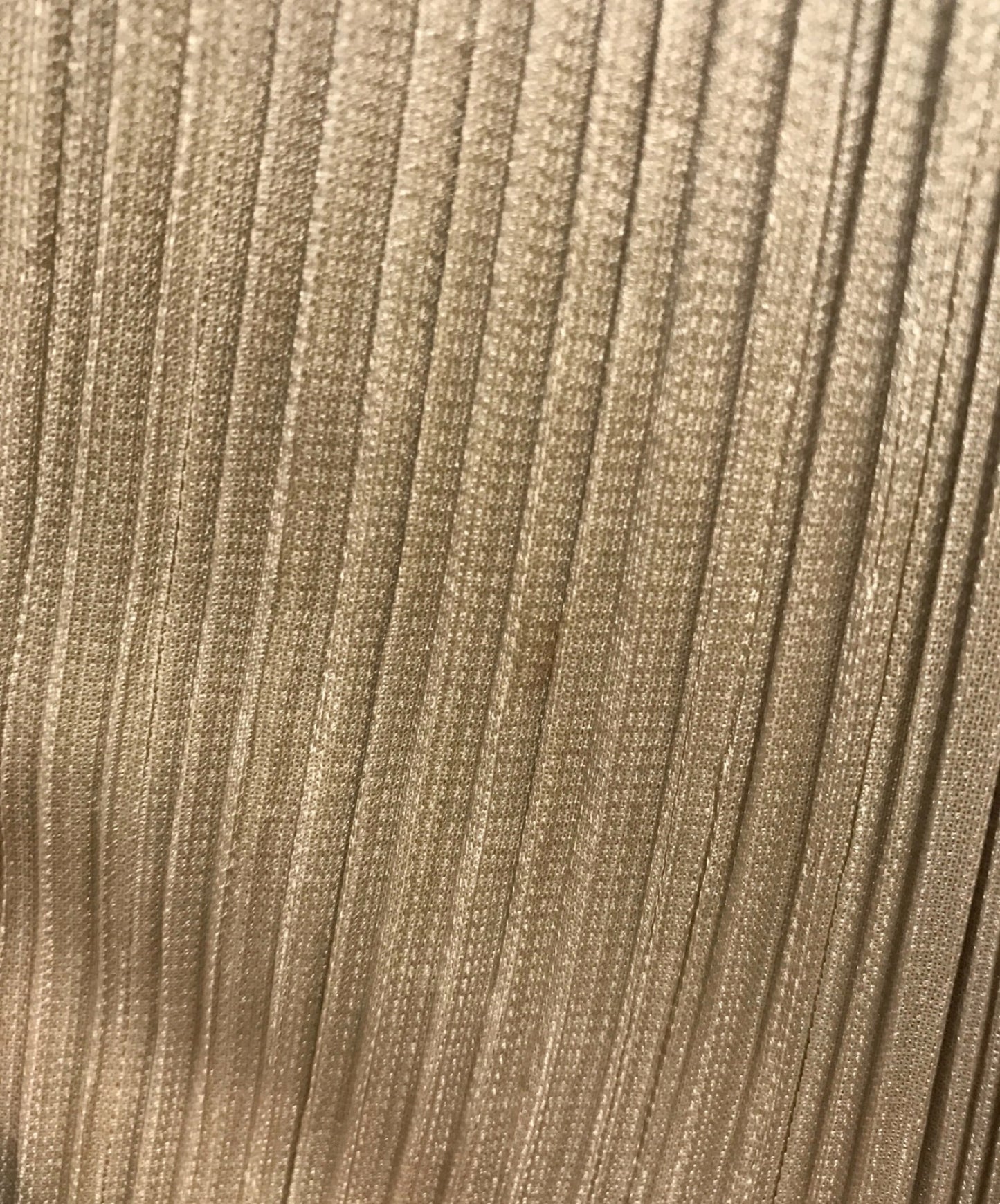 Pleats Pleate Pleated zip coat pp71-ja360