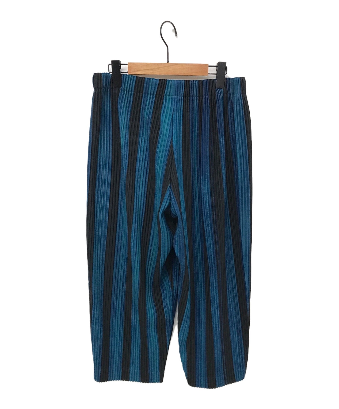 Homme Plisse Issey Miyake 주름 바지