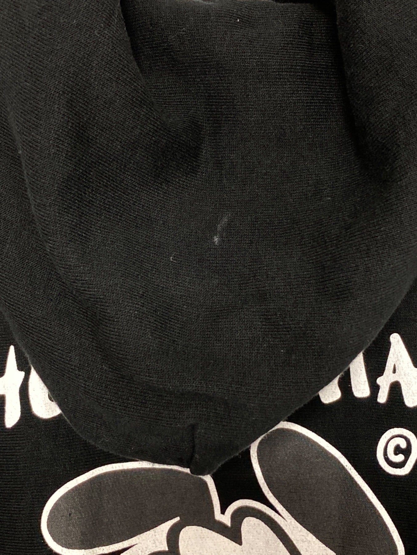 인간은 Vick Pizza 까마귀를 만들었습니다