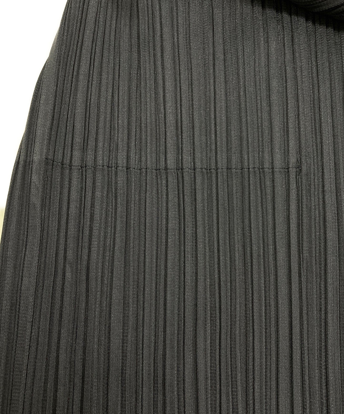 [Pre-owned] PLEATS PLEASE MONTHLY COLORS MARCH / Pleated Skirt PP21-JG146