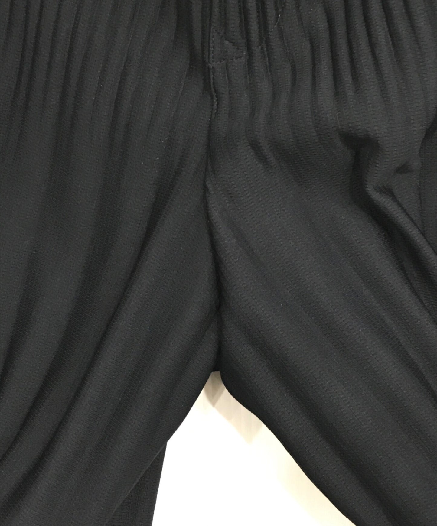 [Pre-owned] HOMME PLISSE ISSEY MIYAKE Pleated pants Eraser pleated pants HP55JF151