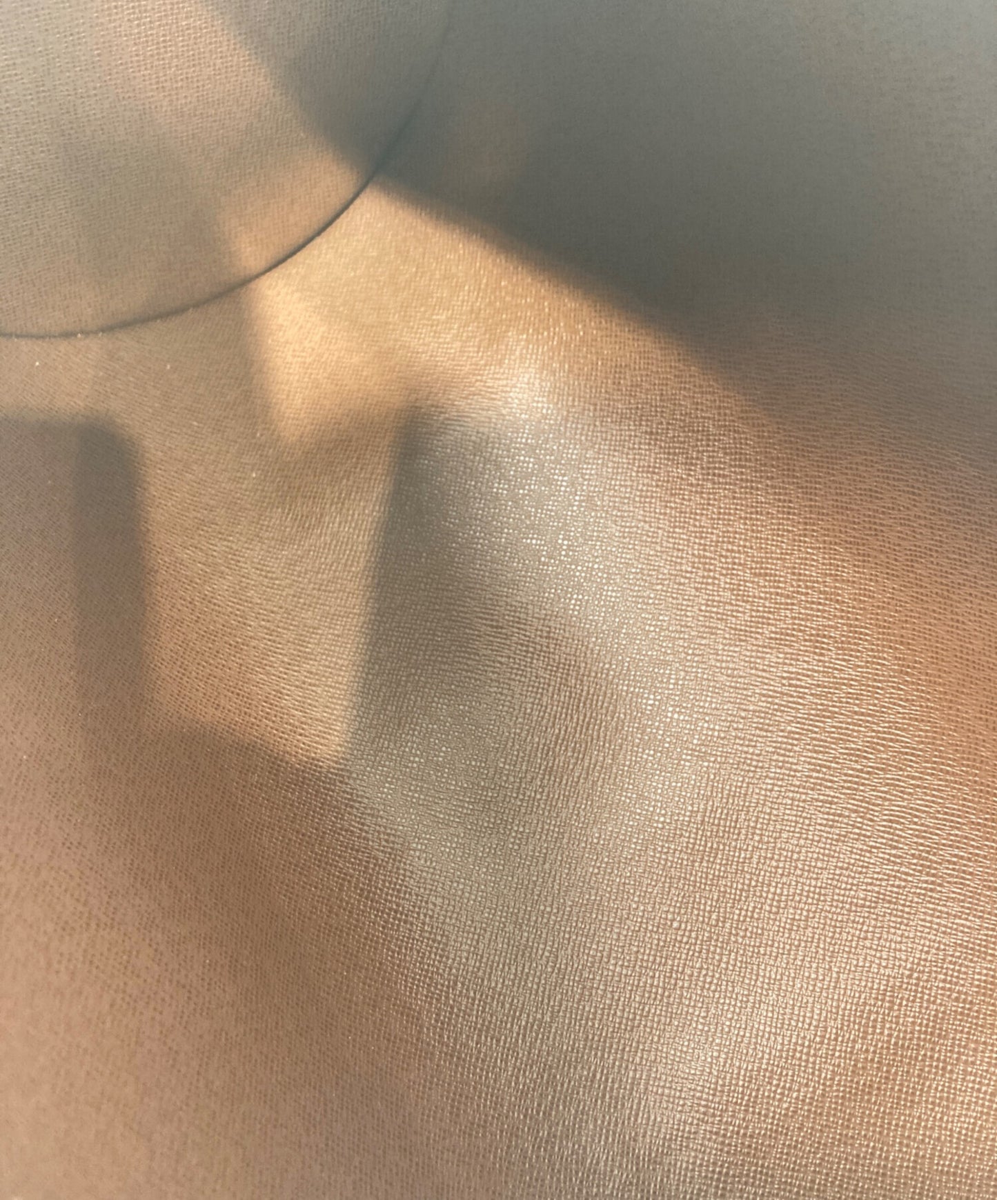 [Pre-owned] LOUIS VUITTON Papillon 30 M51385