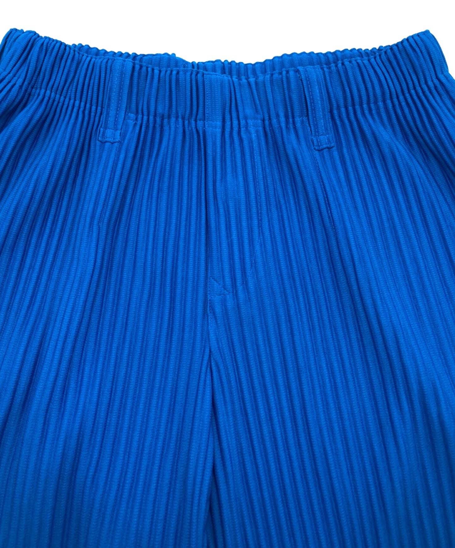 [Pre-owned] HOMME PLISSE ISSEY MIYAKE Button fly tailored pleated pants HP01JF214