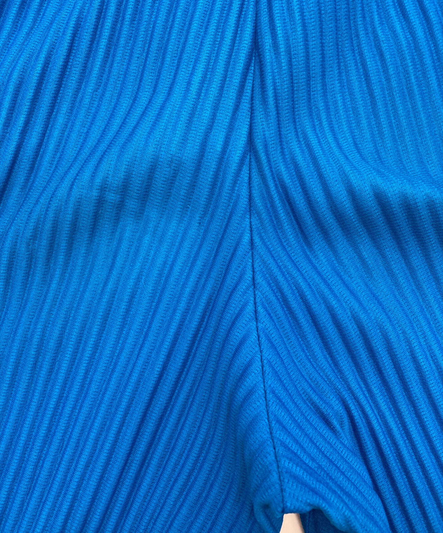 [Pre-owned] HOMME PLISSE ISSEY MIYAKE Button fly tailored pleated pants HP01JF214