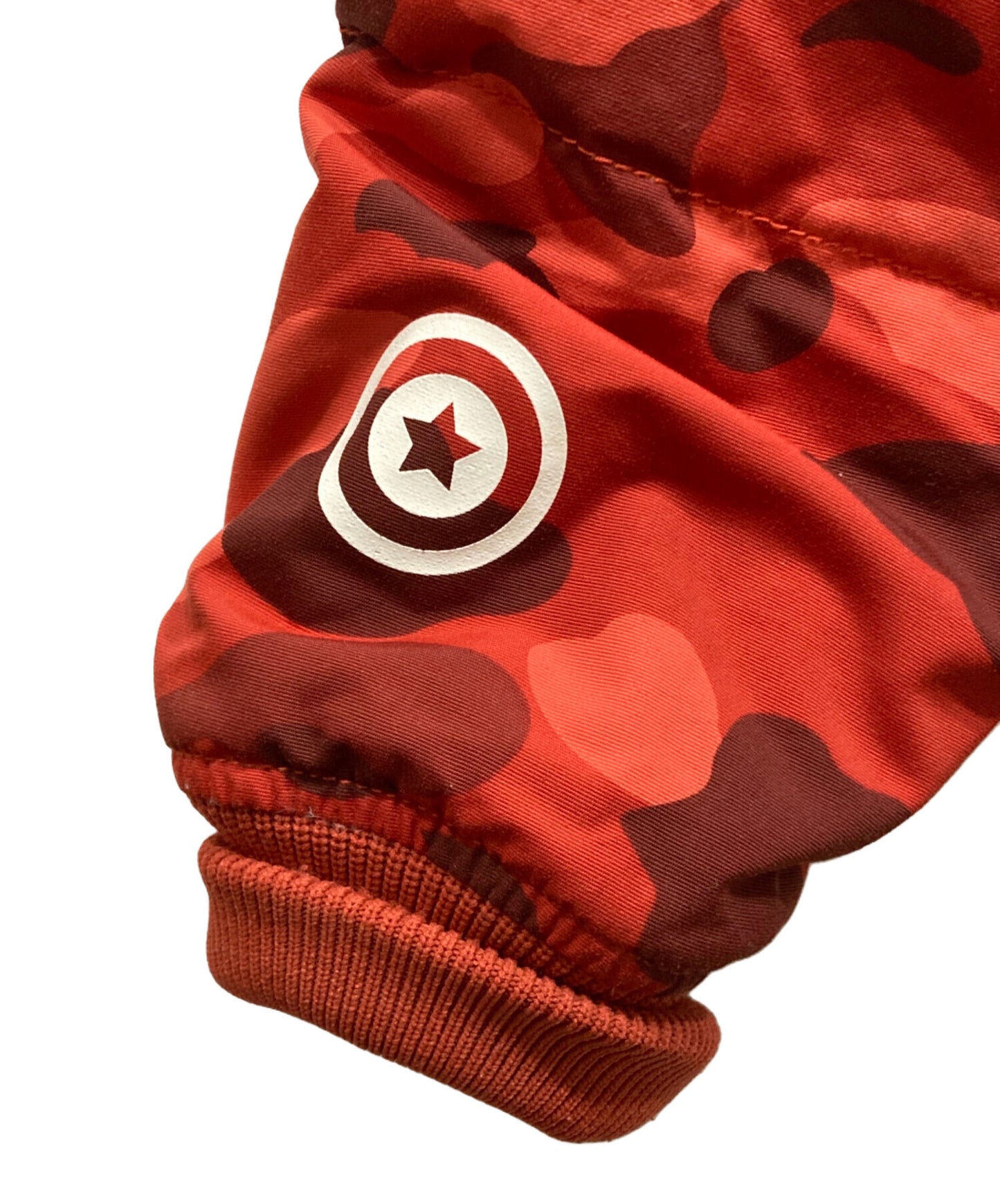 [Pre-owned] A BATHING APE shark full zip hoodie Down jacket 001hjc802005x