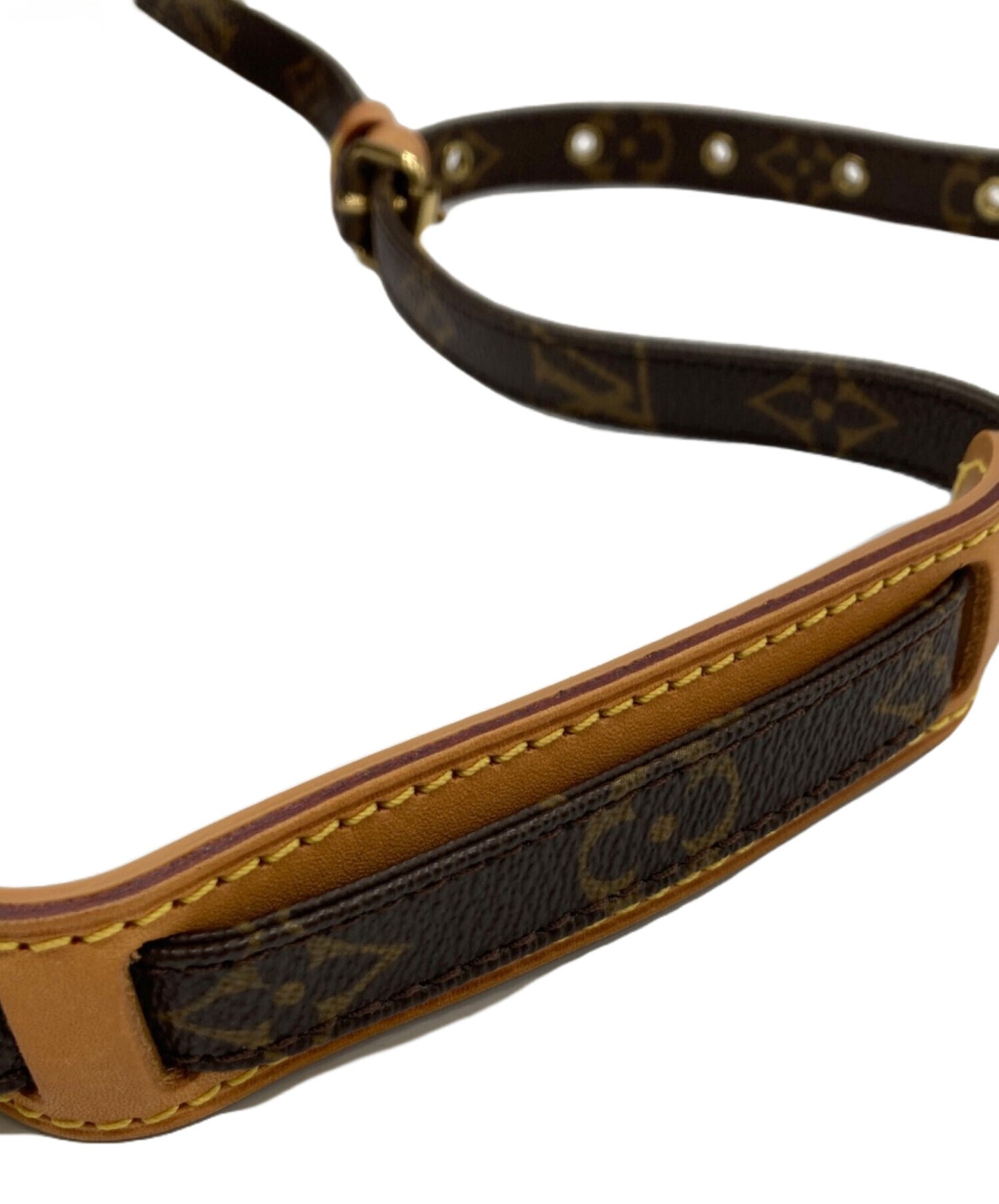 [Pre-owned] LOUIS VUITTON Monogram Amazon M45236