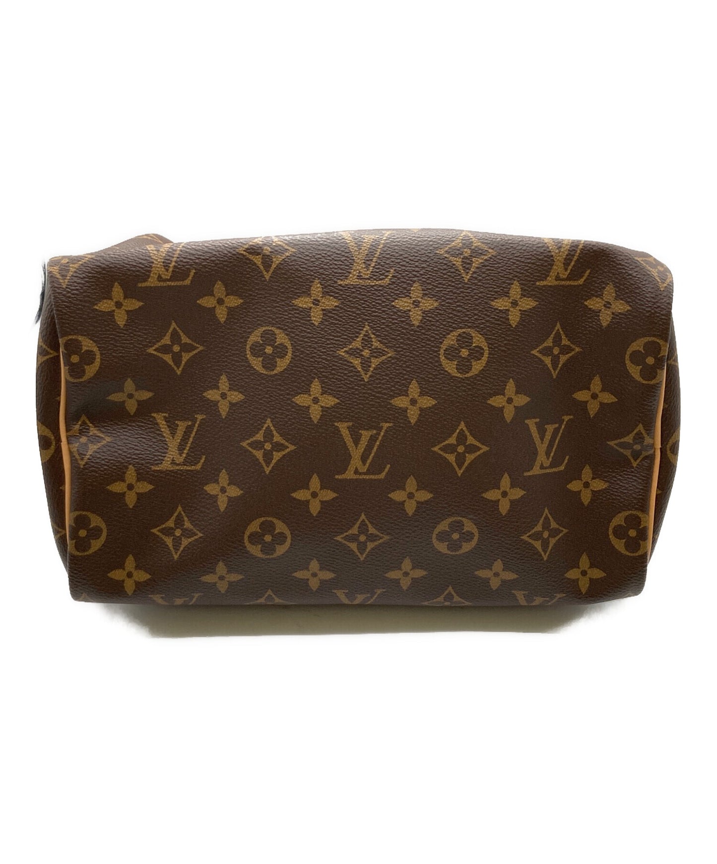 [Pre-owned] LOUIS VUITTON handbag M41109