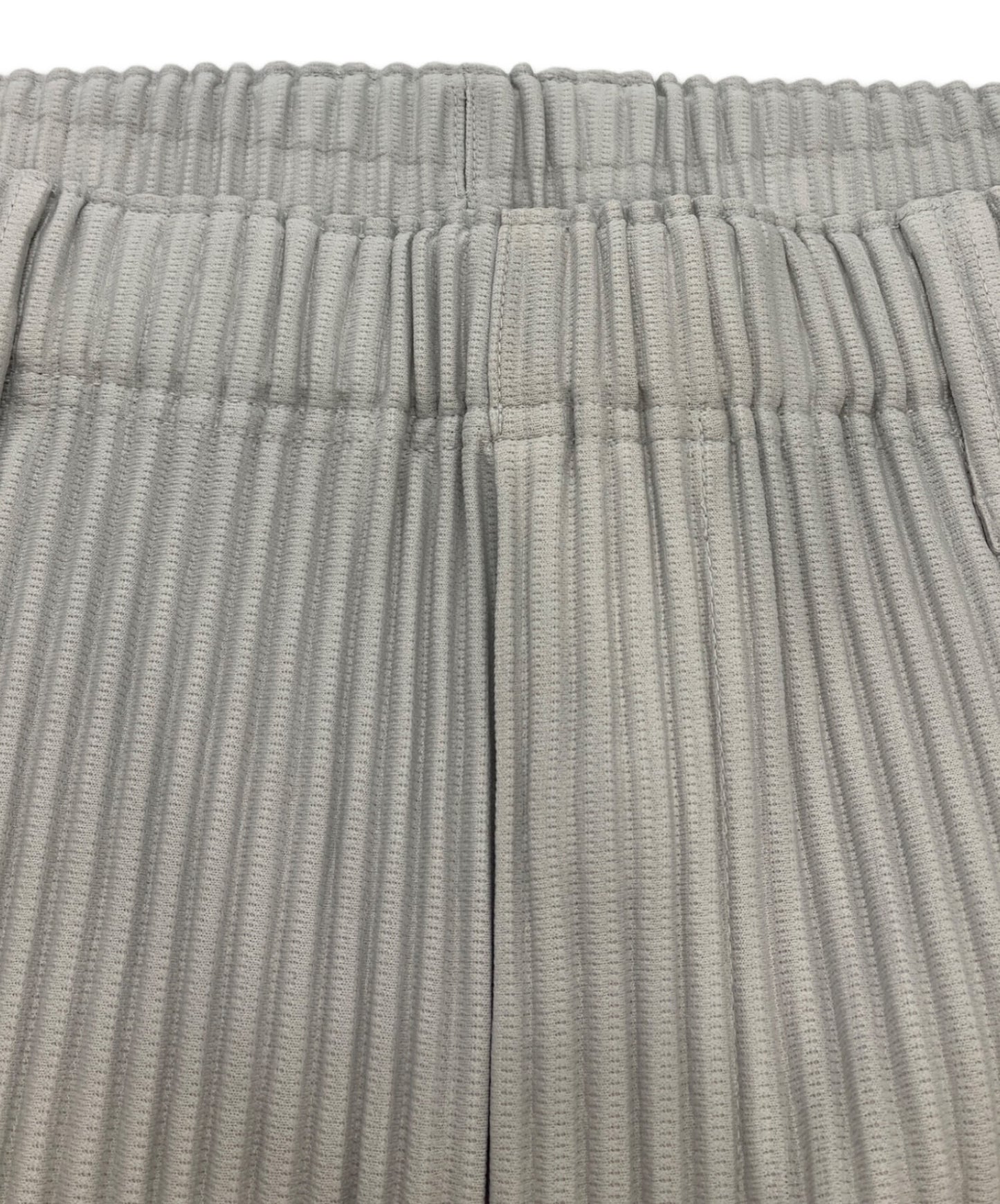 [Pre-owned] HOMME PLISSE ISSEY MIYAKE BASICS Pleated pants HP55JF350