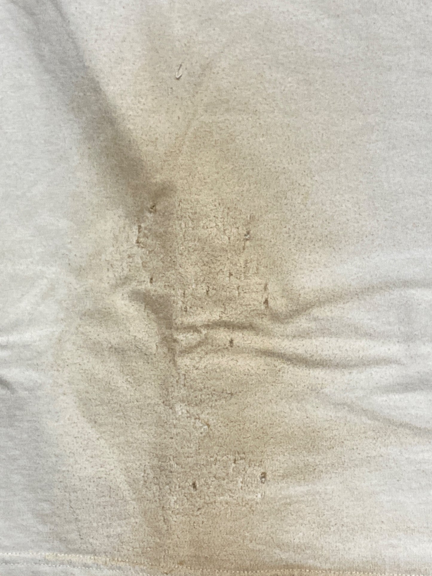 [Pre-owned] BALENCIAGA Crushed Dust Finished Wappen T-Shirt 739028 TOVN2