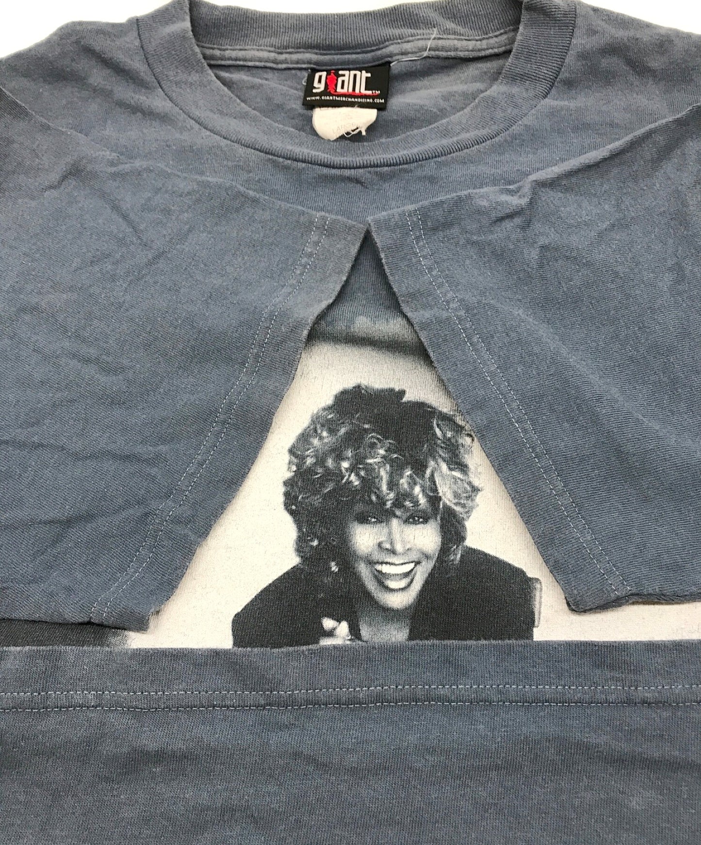 [เสื้อผ้าวินเทจ] เสื้อยืด Tina Turner Artist