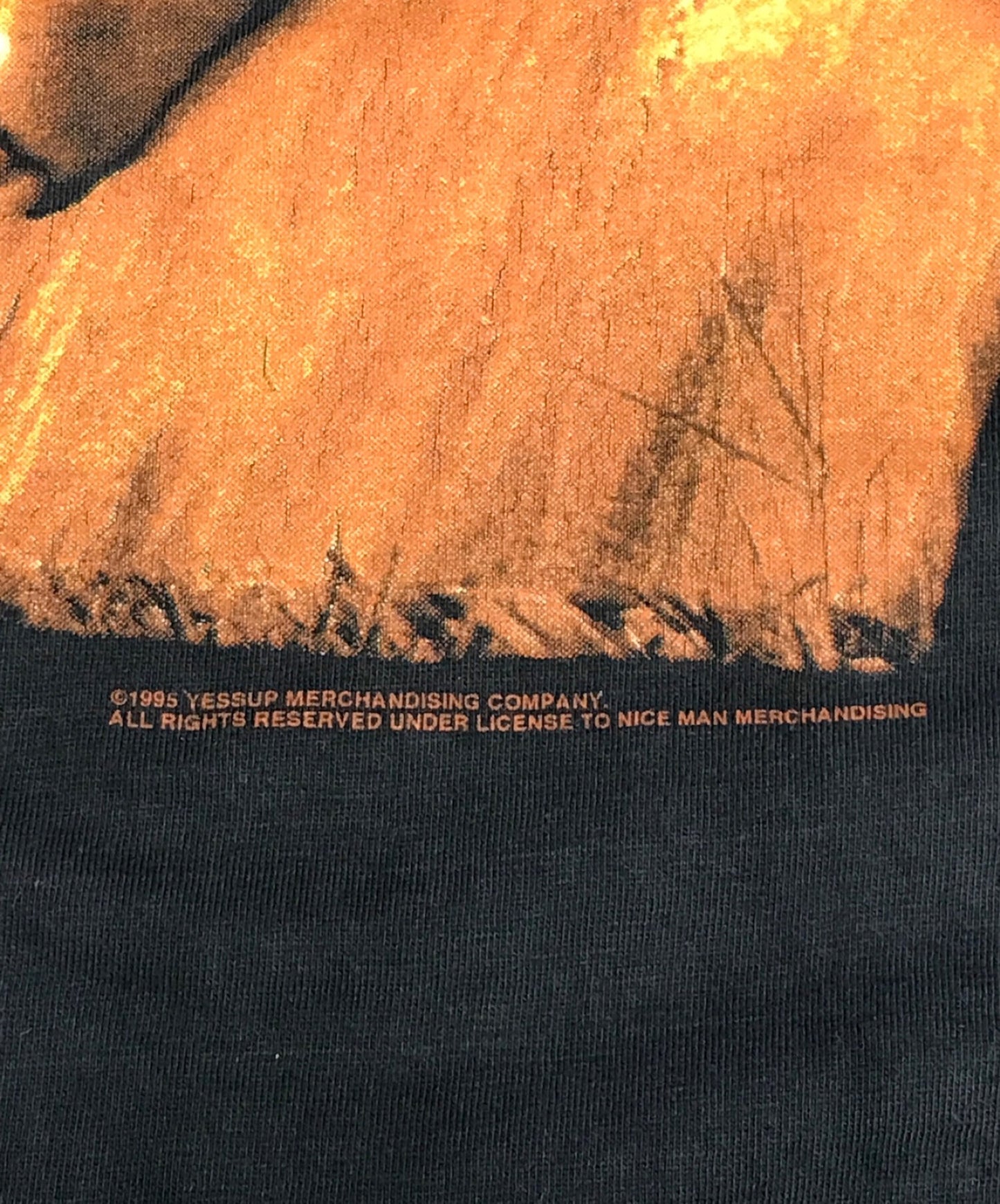 バンドtシャツ[Vintage] 90S Vanhalen带T恤