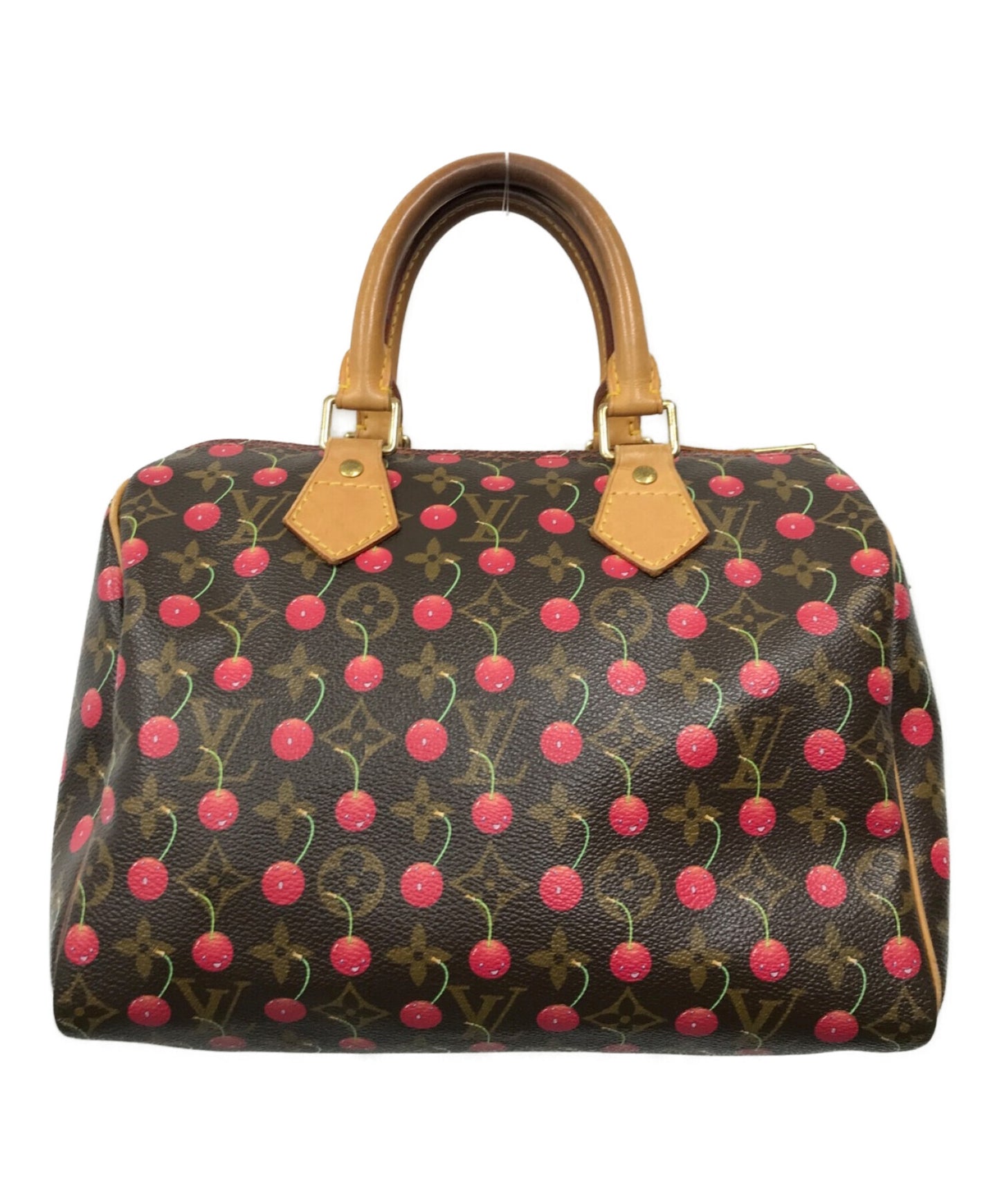 Louis Vuitton Speedy 25 Mini Boston Bag M95009