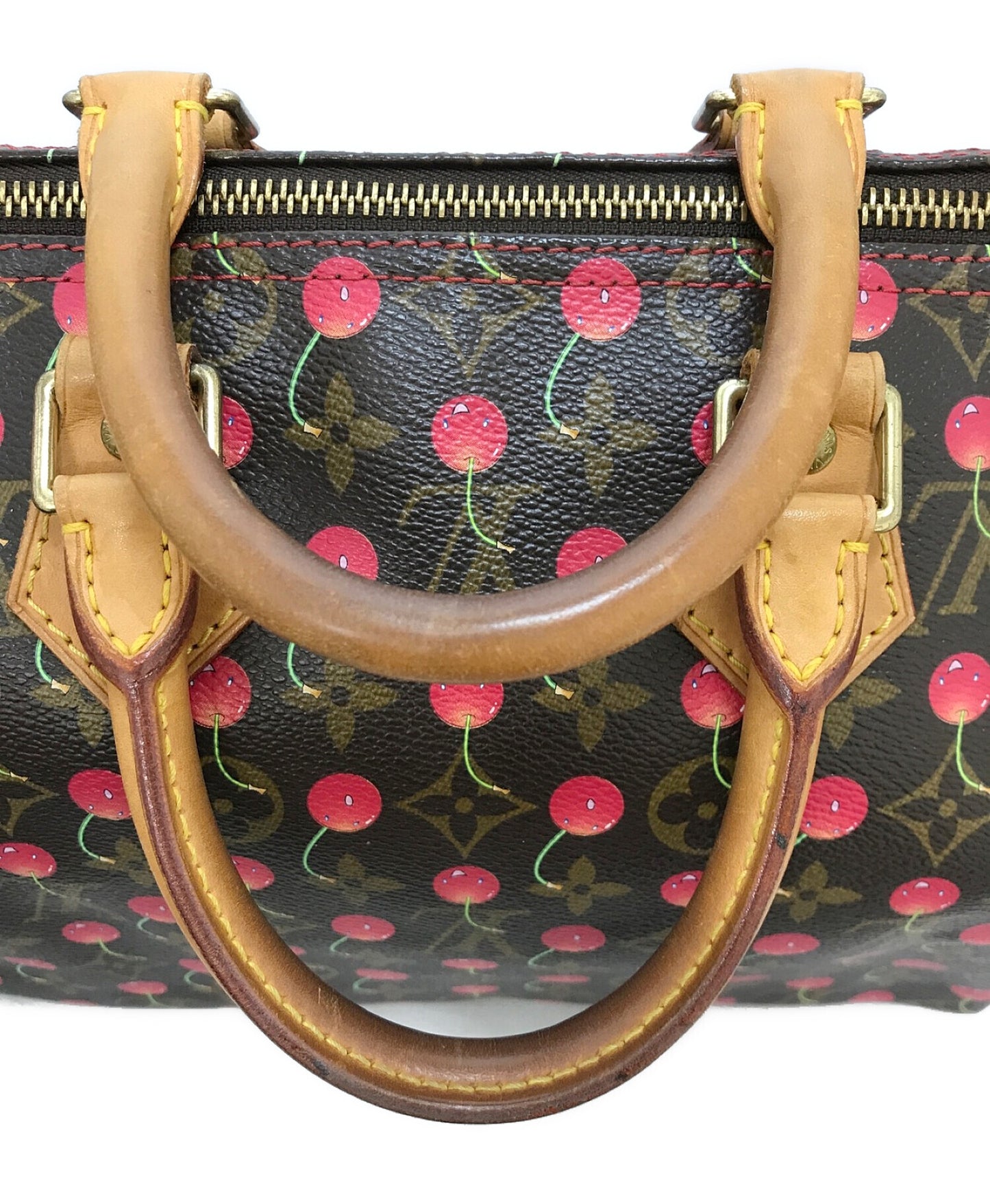 Louis Vuitton Speedy 25 Mini Boston Bag M95009